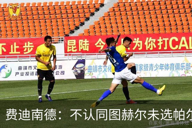 费迪南德：不认同图赫尔未选帕尔默的决定，后者在大赛证明过自己